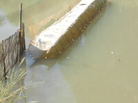 DSCN9804.JPG