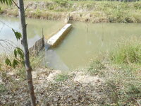 DSCN9803.JPG