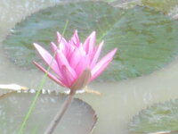 DSCN9799.JPG