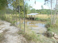 DSCN9795.JPG