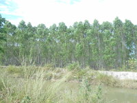 DSCN9807.JPG