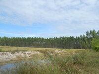 DSCN9806.JPG