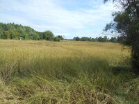 DSCN9805.JPG