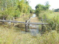 DSCN9810.JPG