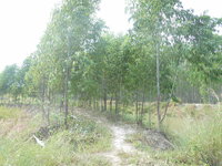 DSCN9816.JPG