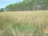 DSCN9814.JPG