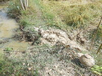 DSCN9822.JPG DSCN9822.JPG