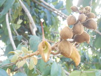 DSCN9828.JPG