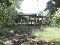 DSCN9831.JPG