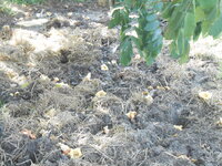 DSCN9827.JPG