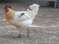 DSCN9835.JPG