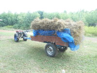 DSCN9845.JPG