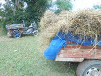 DSCN9852.JPG