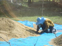 DSCN9641.JPG