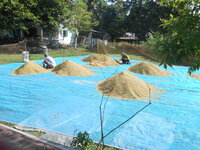 DSCN9640.JPG
