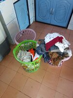 IMG_20231102_085427_638.jpg