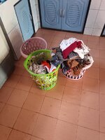 IMG_20231102_085357_835.jpg