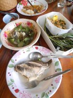 DSCN9597~2.JPG