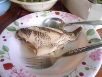 DSCN9598.JPG