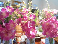 DSCN9702.JPG
