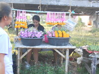 DSCN9697.JPG