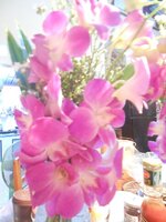 DSCN9704~2.JPG