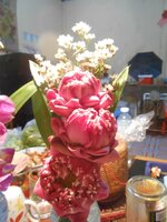 DSCN9703~2.JPG