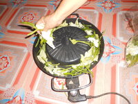 DSCN9712.JPG