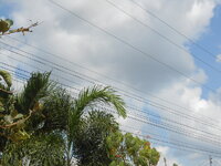 DSCN9564.JPG