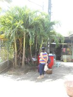 DSCN9561~2.JPG