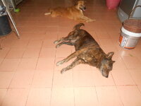 DSCN9880.JPG