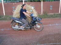 DSCN0064.JPG