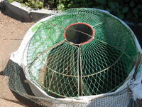 DSCN0214.JPG