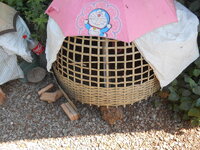 DSCN0211.JPG