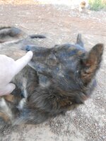 DSCN0170~2.JPG