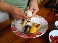 DSCN0194.JPG