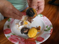 DSCN0193.JPG