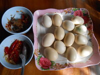 DSCN0192.JPG