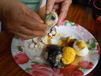 DSCN0196.JPG