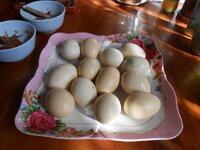 DSCN0190.JPG