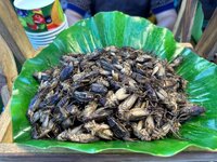 IMG_1419.jpeg