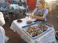 DSCN0267.JPG