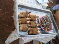 DSCN0266.JPG