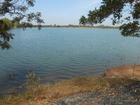 DSCN0570.JPG