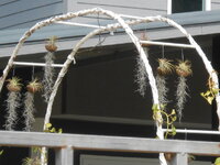 DSCN0557.JPG