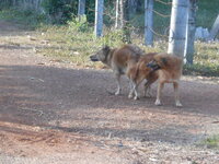 DSCN0497.JPG