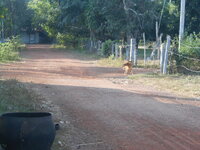 DSCN0495.JPG