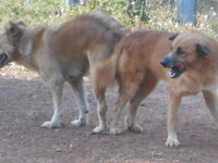 DSCN0500.JPG