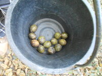 DSCN0092.JPG