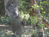 DSCN0099.JPG
